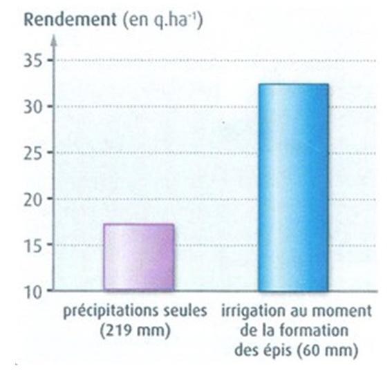 1 14 rendement eau epis bles 1