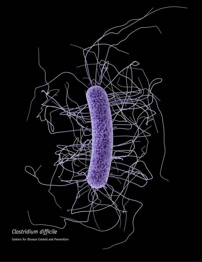 694px clostridium difficile cdc