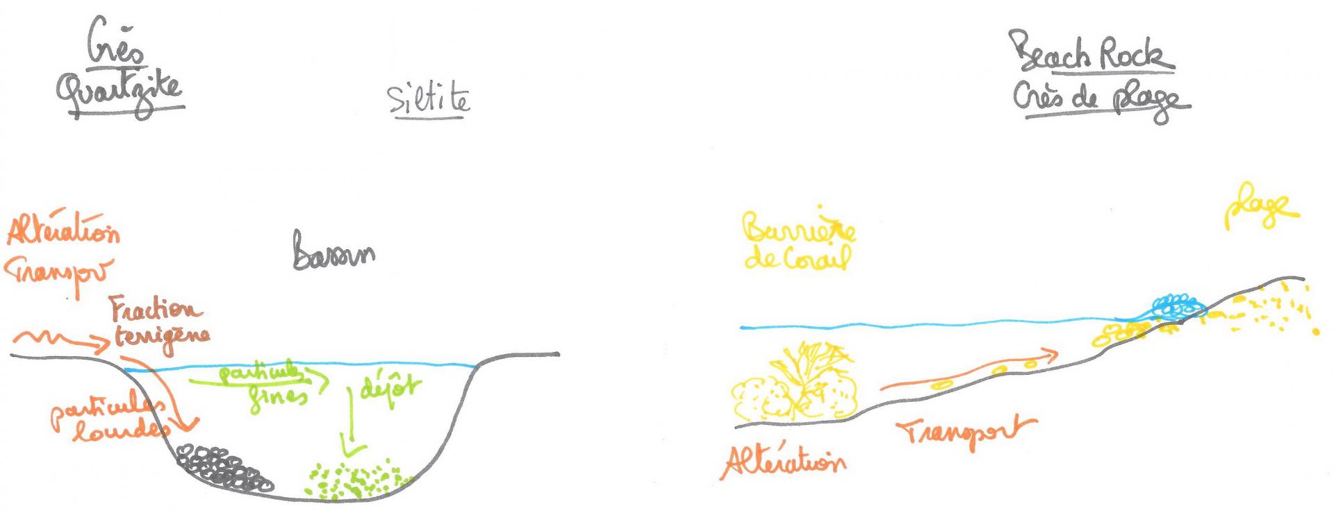 9 milieux de sedimentation