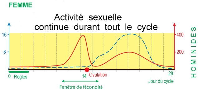 Activite sexuelle femme