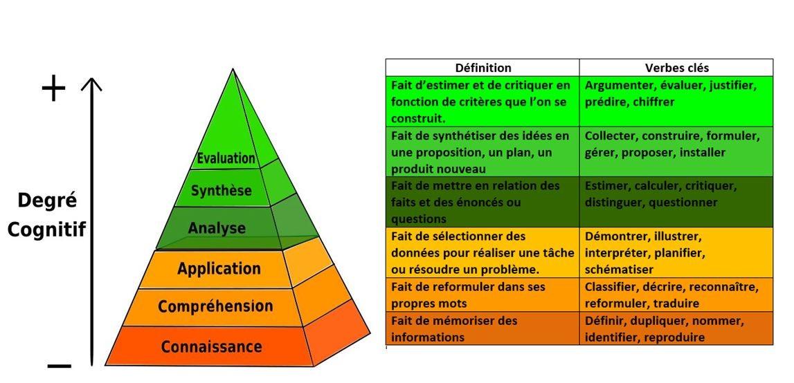 Bloom vocabulaire