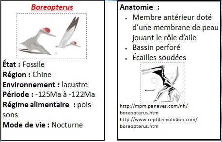 Cartes chine 1