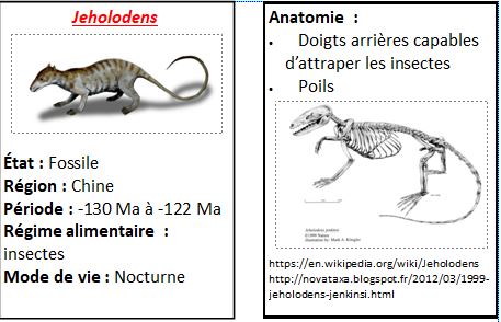 Cartes chine 3