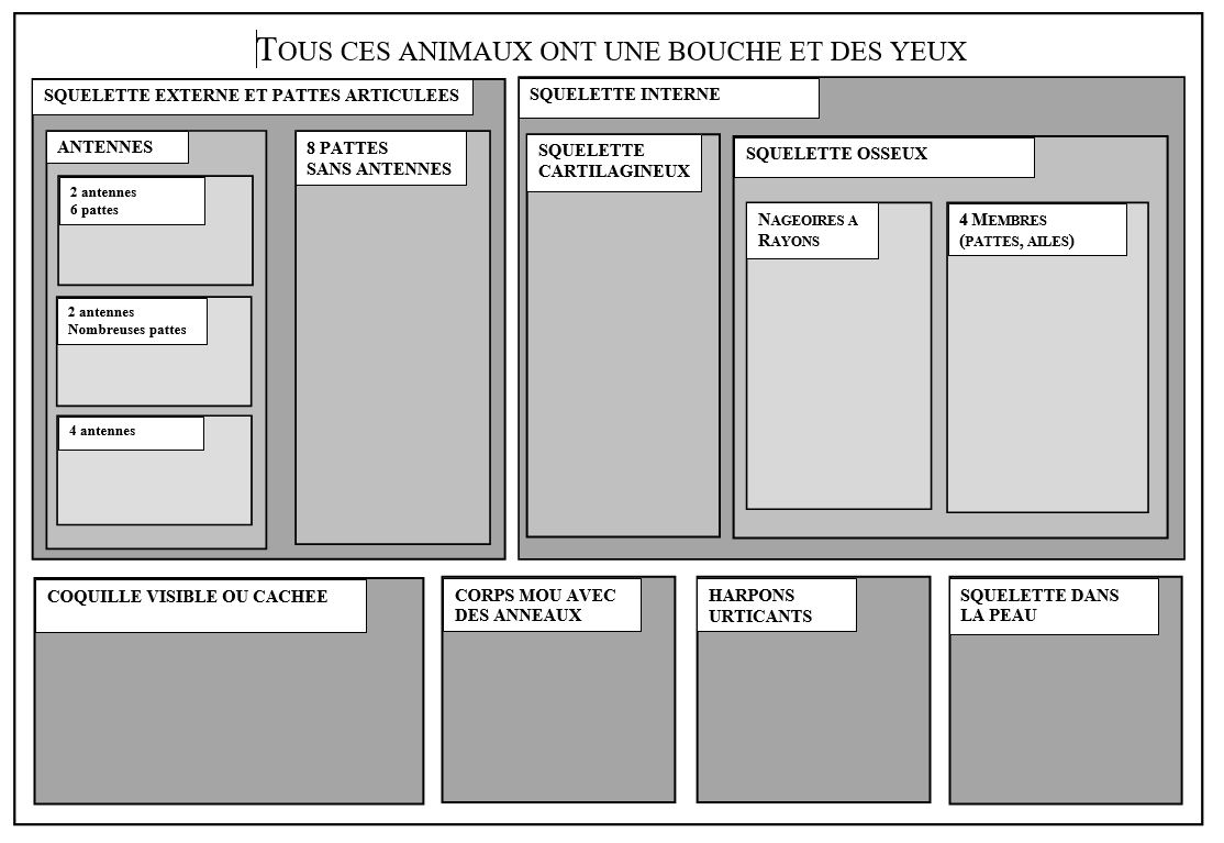 Classif animaux 2018