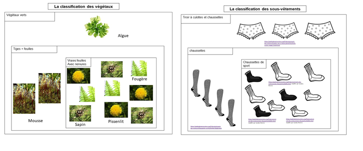 Classif vegetauxdeuxieme etape