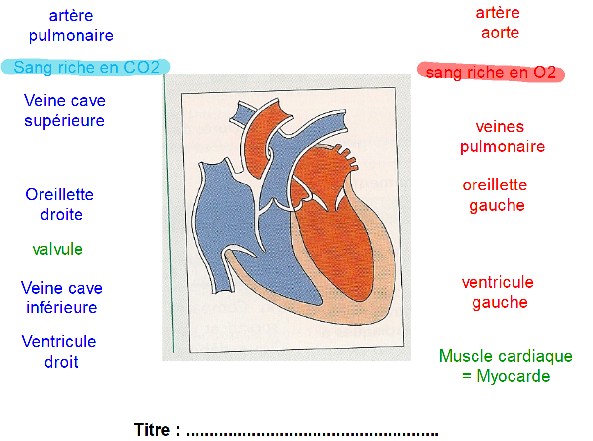 Coeur a completer