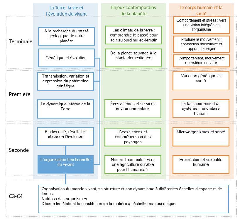 Coherence verticale organisation du vivant