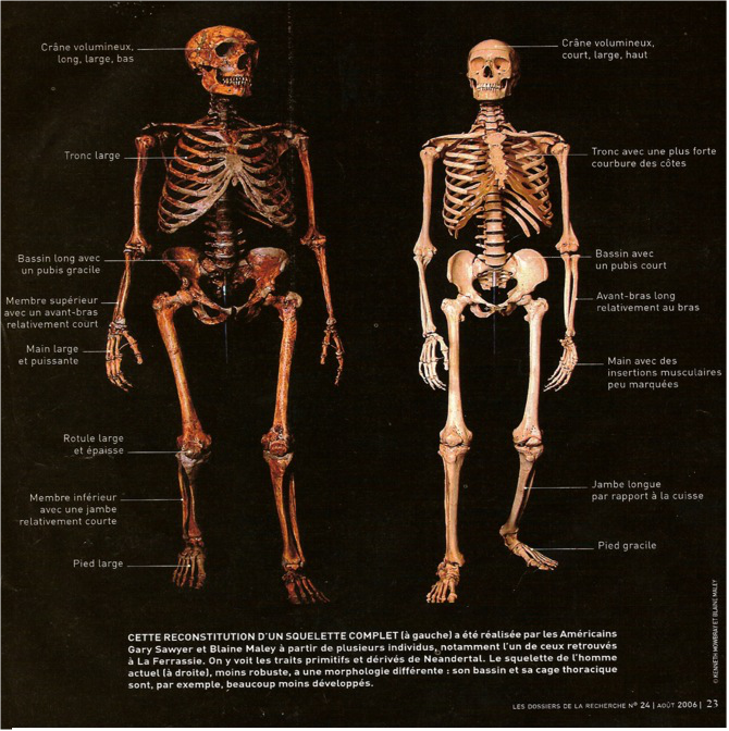 Comparaison homme la recherche avril 2004