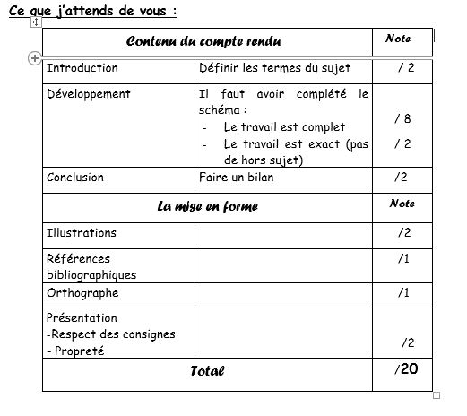 Consignes expose risques volca 2