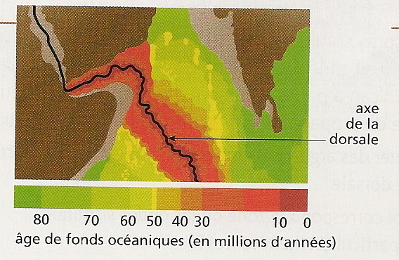 Dorsale mar rouge 1