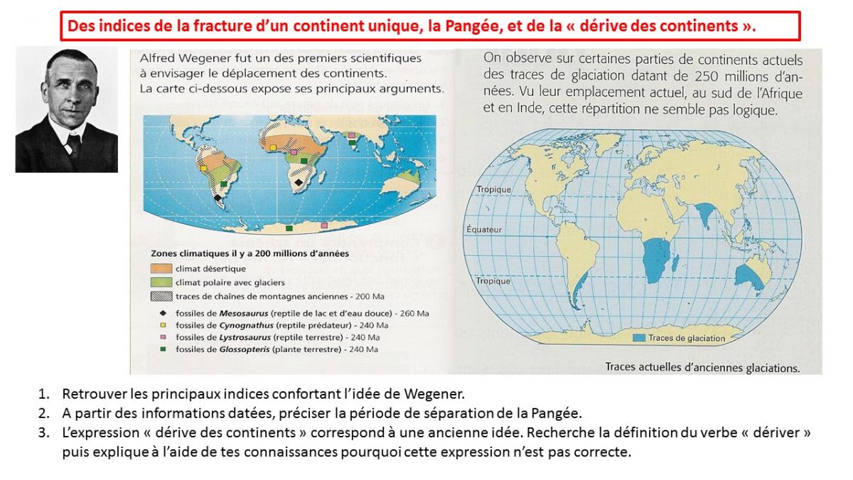 Exercice wegener