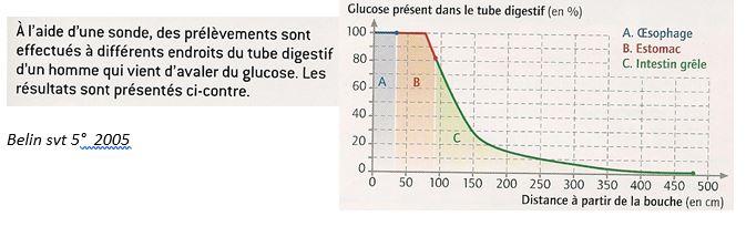 Expereience absorption td