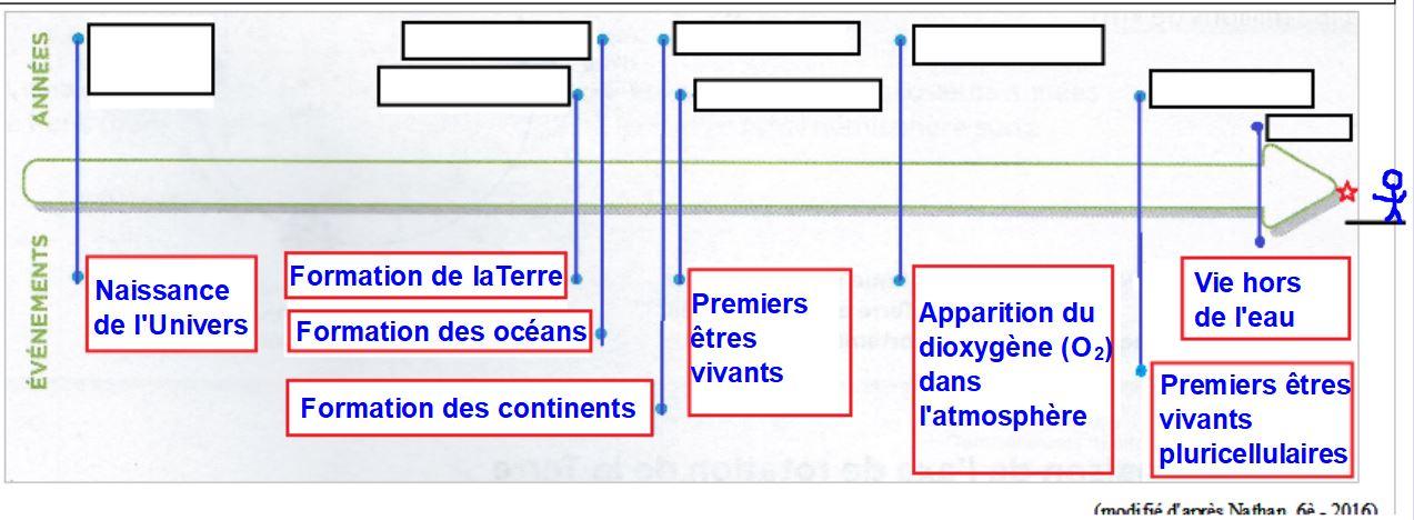 Frise a completer les dates 1