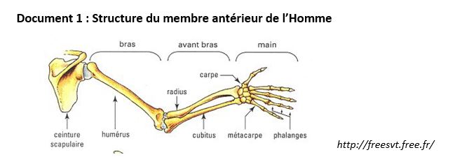 Mebra ant homme act 1a