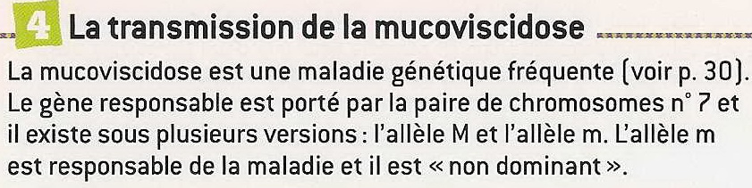Muco 3