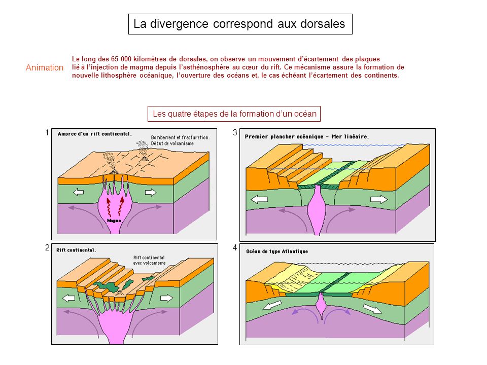 Naissance dorsale