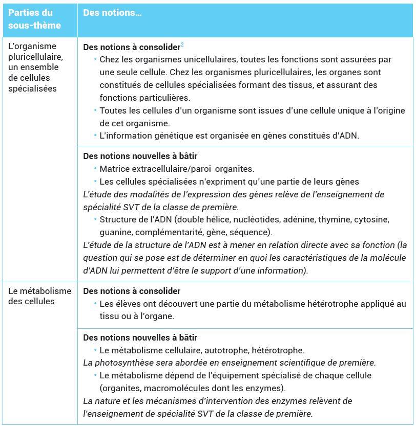 Notions organisation themes secondejpg