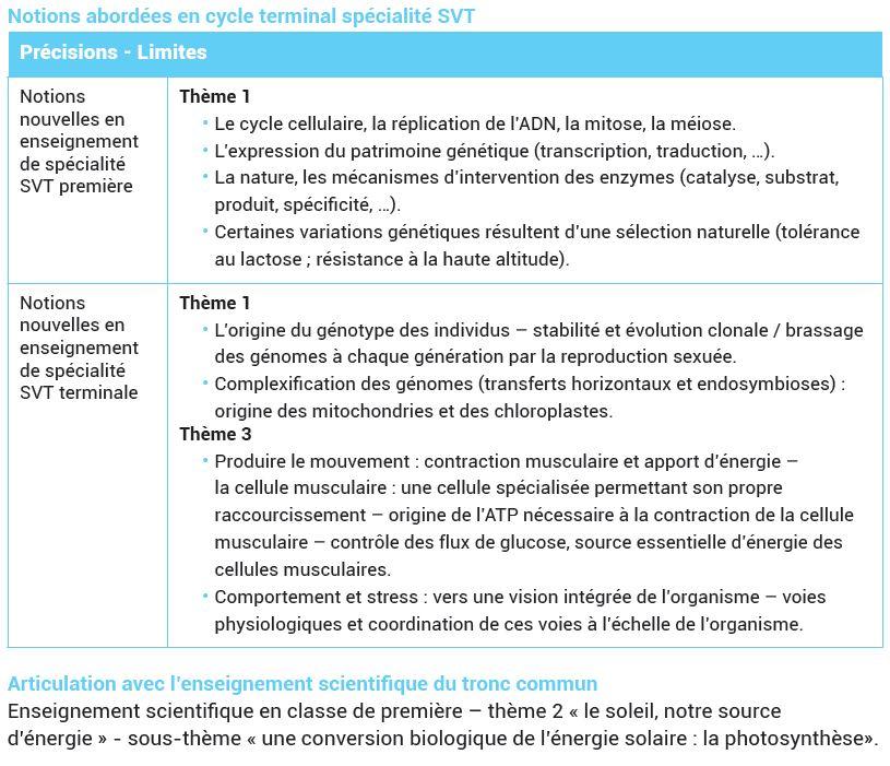 Notions organisation themes superieurs