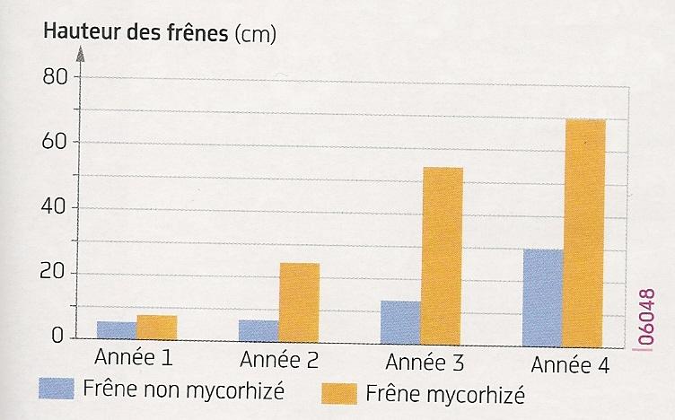 Numerisation0006 2