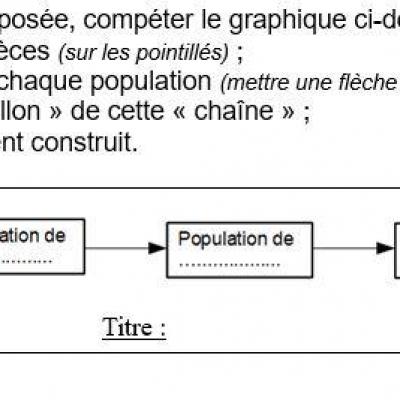 Requins texte a copleter influence