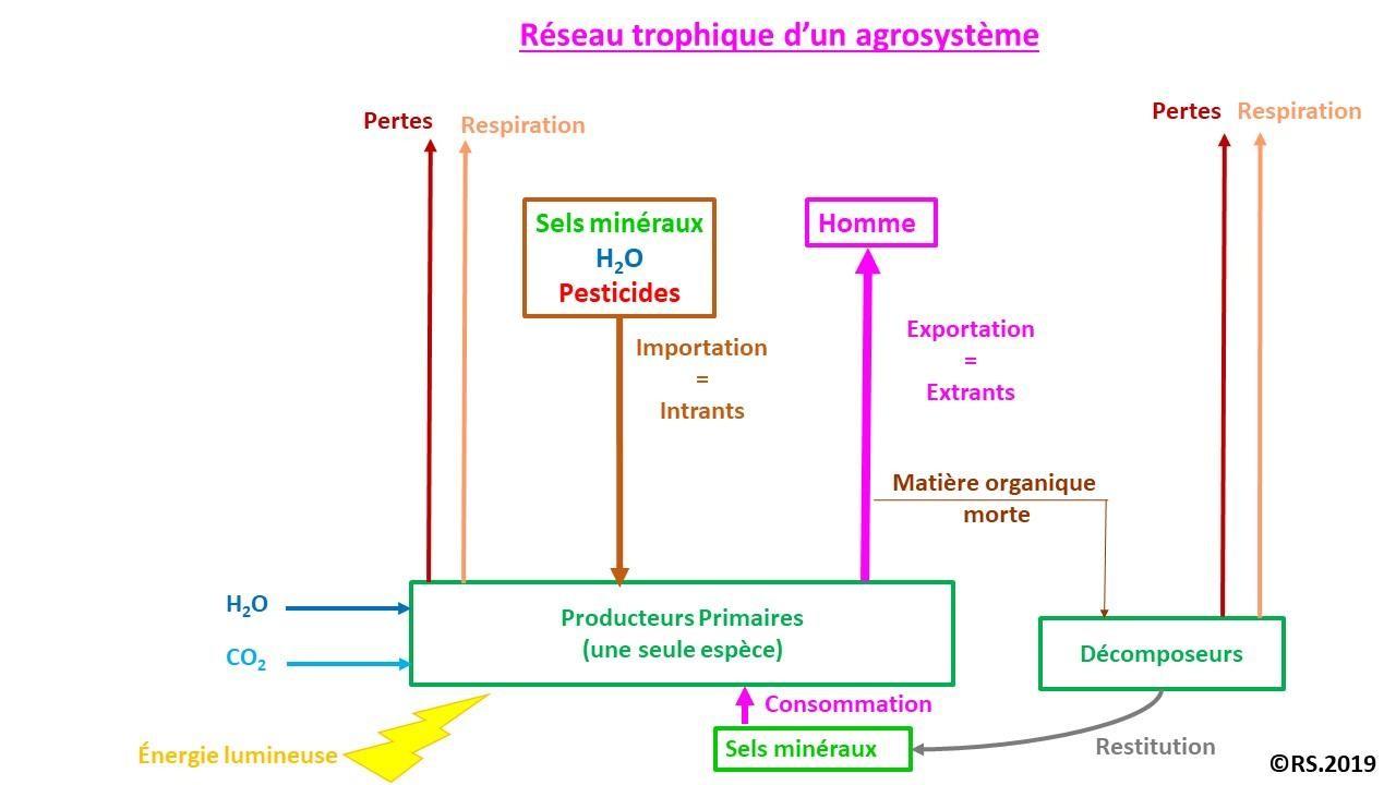 Reseautrophique agrosysteme