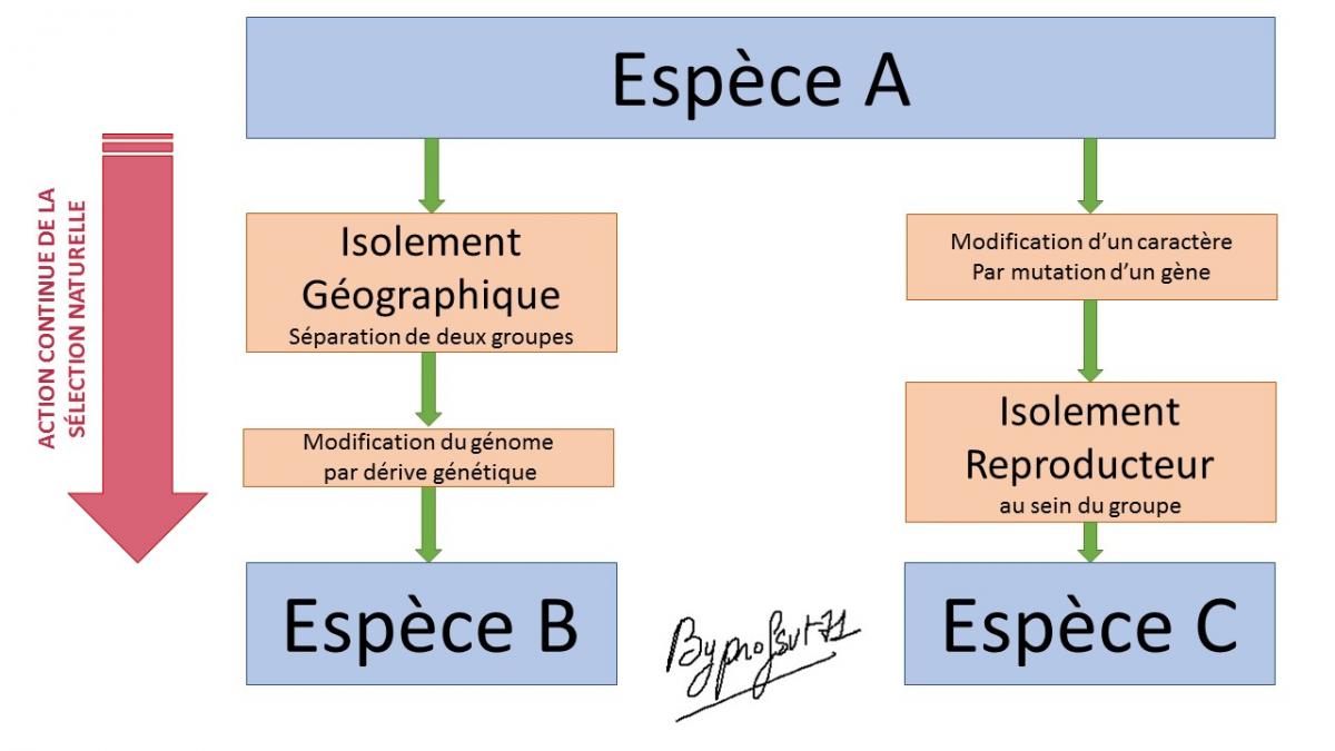 Schema bilan chap6