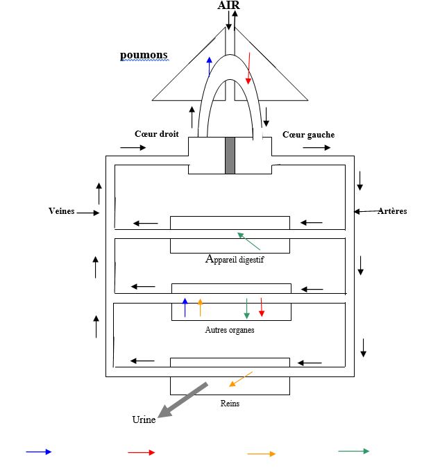 Schema bilan echanges