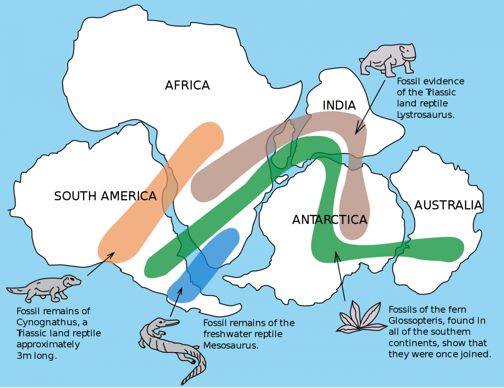 Snider pellegrini wegener fossil map svg wiki