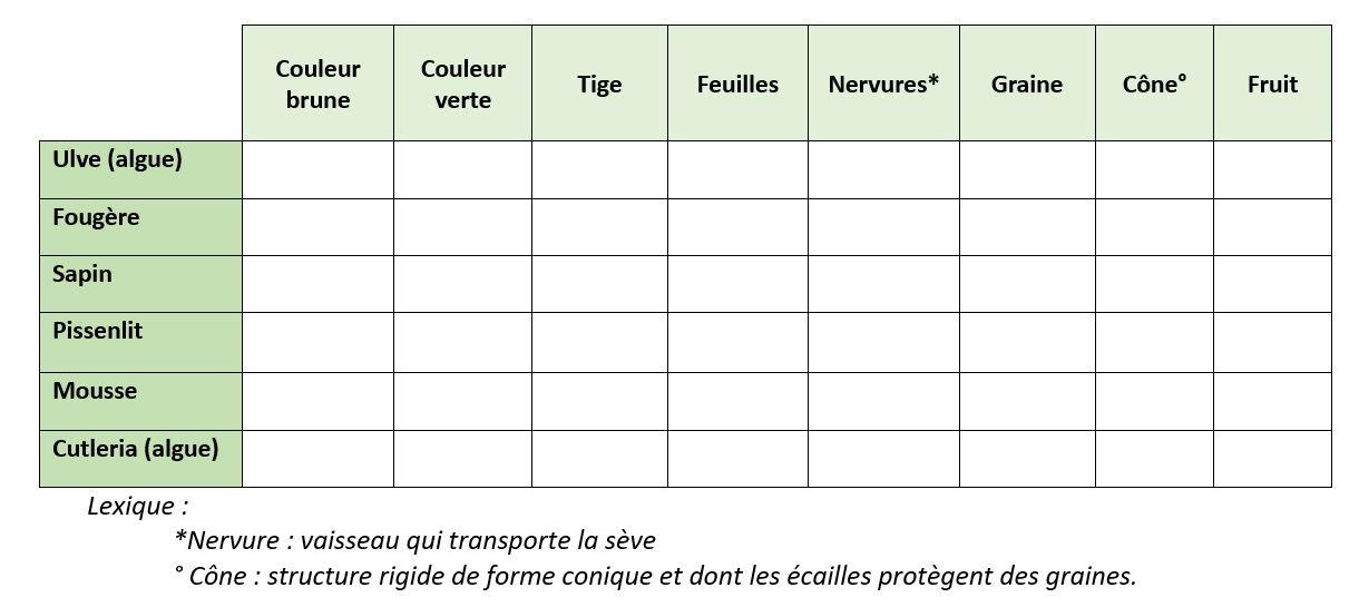 Tableau attributs vegetaux vierge 2023