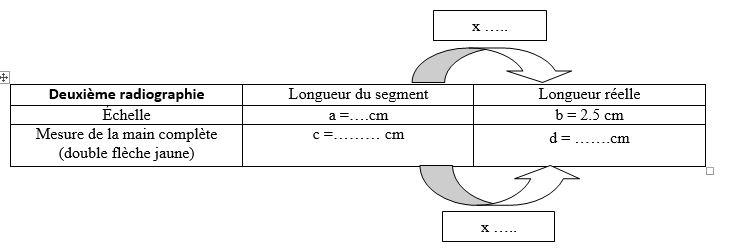 Tableau calcule echelle deuxieme main