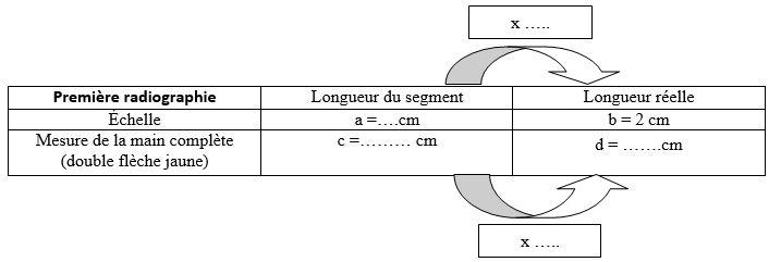 Tableau calcule echelle premiere main