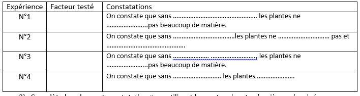 Tableau matiere produite experience plantes