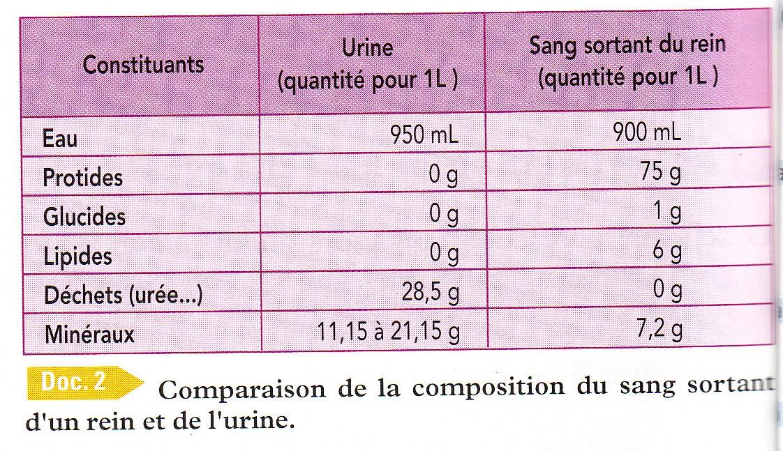 Urine sang 1